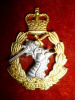 The Royal Army Dental Corps QC Silver & Gilt Officer's Cap Badge
